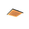 Lampa sufitowa KALEA 655510130 Trio