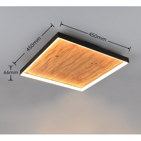Lampa sufitowa KALEA 655510130 Trio