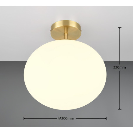 Lampa sufitowa FOMENTO 663100108 Trio