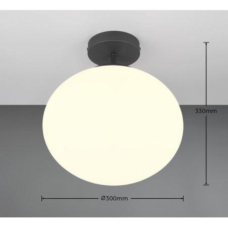 Lampa sufitowa FOMENTO 663100132 Trio