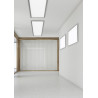Lampa sufitowa PHOENIX 674011207 Trio