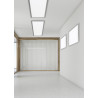 Lampa sufitowa PHOENIX 674016207 Trio