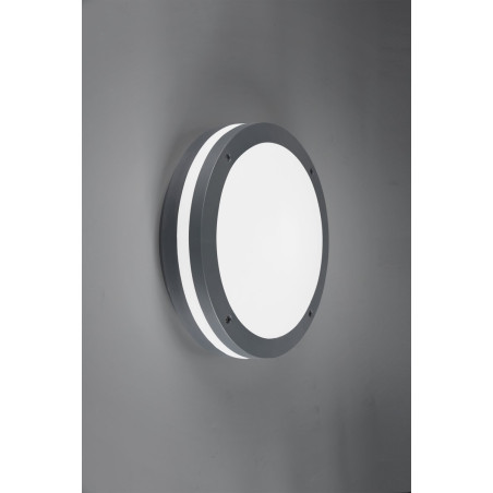Lampa zewnętrzna sufitowa PIAVE 676960142 Trio