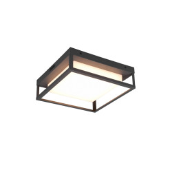 Lampa zewnętrzna sufitowa WITHAM 677860142 Trio