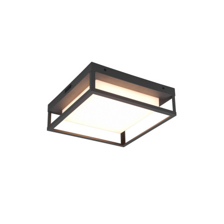 Lampa zewnętrzna sufitowa WITHAM 677860142 Trio