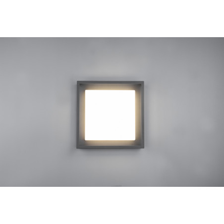 Lampa zewnętrzna sufitowa WITHAM 677860142 Trio