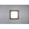 Lampa zewnętrzna sufitowa WITHAM 677860142 Trio
