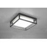 Lampa zewnętrzna sufitowa WITHAM 677860142 Trio
