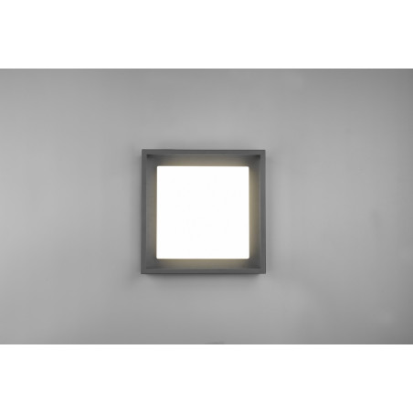 Lampa zewnętrzna sufitowa WITHAM 677860142 Trio