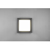 Lampa zewnętrzna sufitowa WITHAM 677860142 Trio