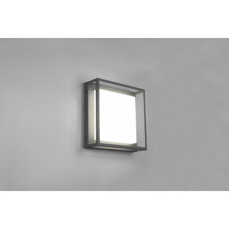 Lampa zewnętrzna sufitowa WITHAM 677860142 Trio