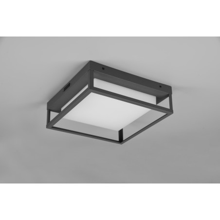 Lampa zewnętrzna sufitowa WITHAM 677860142 Trio