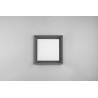 Lampa zewnętrzna sufitowa WITHAM 677860142 Trio
