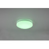 Lampa sufitowa FRODENO 680213500 Trio