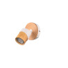 Lampa sufitowa, reflektorek ARUNI 801170131 Trio