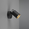 Lampa ścienna, reflektorek PAGO 803500132 Trio