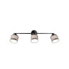 Lampa sufitowa, reflektorek AROSA 812100306 Trio