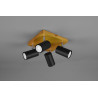 Lampa sufitowa, reflektorek MARLEY 812400432 Trio
