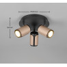 Lampa sufitowa, reflektorek GILLAN 814530365 Trio