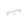 Lampa ścienna, reflektorek SHARP 817100331 Trio