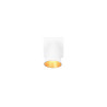 Lampa ścienna, reflektorek SHARP 817170131 Trio