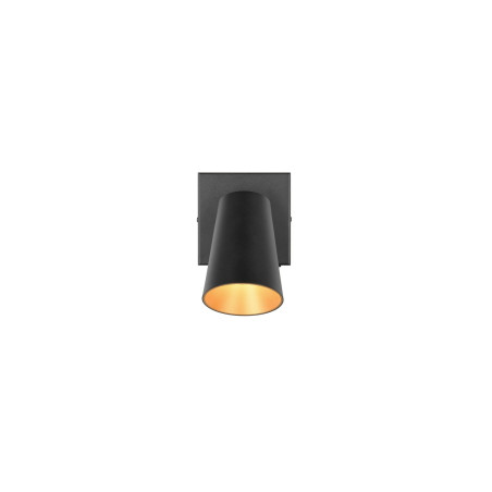 Lampa ścienna, reflektorek SHARP 817170132 Trio