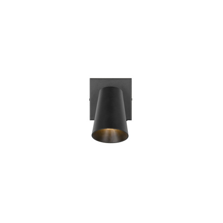 Lampa ścienna, reflektorek SHARP 817170132 Trio