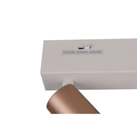 Lampa sufitowa, reflektorek AMBALA 849210165 Trio
