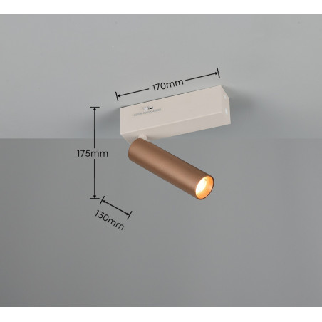 Lampa sufitowa, reflektorek AMBALA 849210165 Trio
