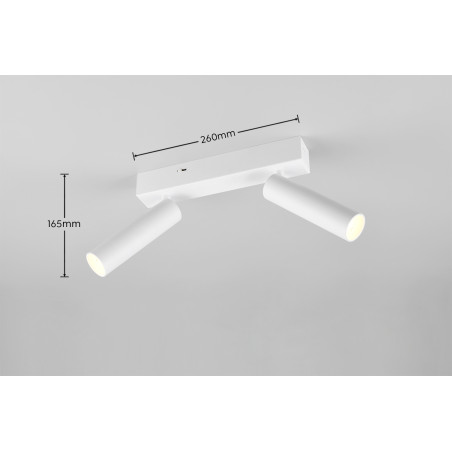 Lampa ścienna, reflektorek AMBALA 849210231 Trio