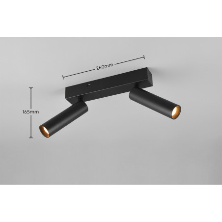 Lampa ścienna, reflektorek AMBALA 849210232 Trio
