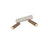 Lampa sufitowa, reflektorek AMBALA 849210265 Trio
