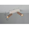 Lampa sufitowa, reflektorek AMBALA 849210265 Trio