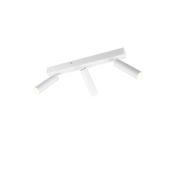 Lampa sufitowa, reflektorek AMBALA 849210331 Trio