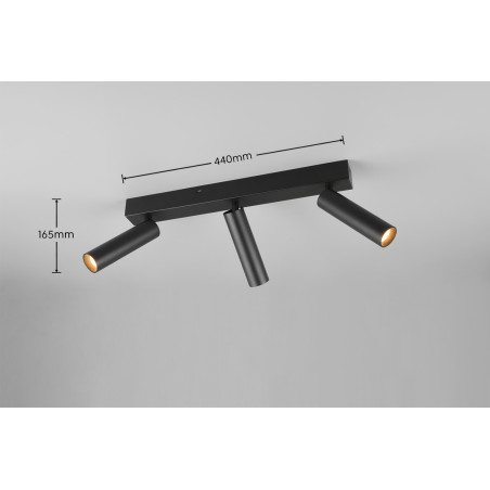 Lampa sufitowa, reflektorek AMBALA 849210332 Trio