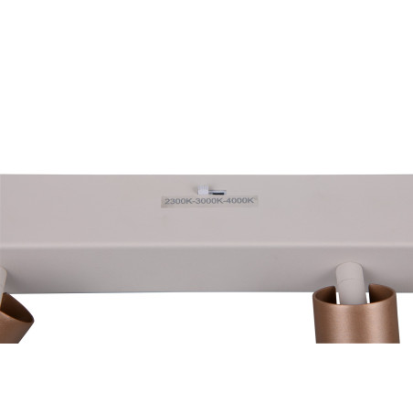 Lampa sufitowa, reflektorek AMBALA 849210365 Trio