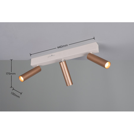 Lampa sufitowa, reflektorek AMBALA 849210365 Trio