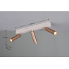 Lampa sufitowa, reflektorek AMBALA 849210365 Trio