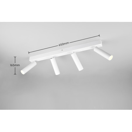 Lampa sufitowa, reflektorek AMBALA 849210431 Trio