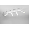 Lampa sufitowa, reflektorek AMBALA 849210431 Trio