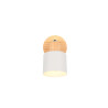 Lampa ścienna, reflektorek SHANTI 862700176 Trio