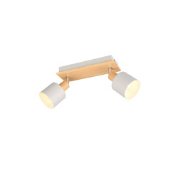 Lampa sufitowa, reflektorek SHANTI 862700276 Trio