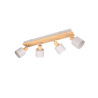 Lampa sufitowa, reflektorek SHANTI 862700476 Trio