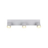 Lampa sufitowa, reflektorek SOKA 867700331 Trio