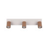 Lampa sufitowa, reflektorek SOKA 867700365 Trio