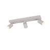 Lampa sufitowa, reflektorek SOKA 867700376 Trio