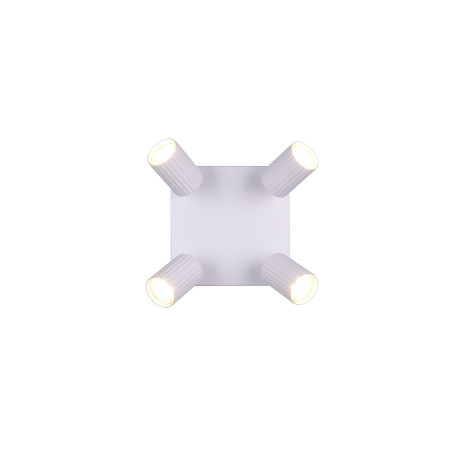 Lampa sufitowa, reflektorek SOKA 867730431 Trio