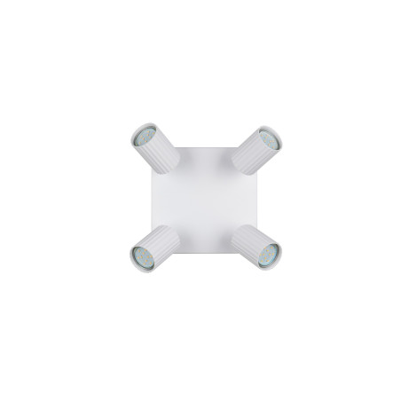 Lampa sufitowa, reflektorek SOKA 867730431 Trio