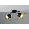 Lampa sufitowa, reflektorek EVA 868800280 Trio