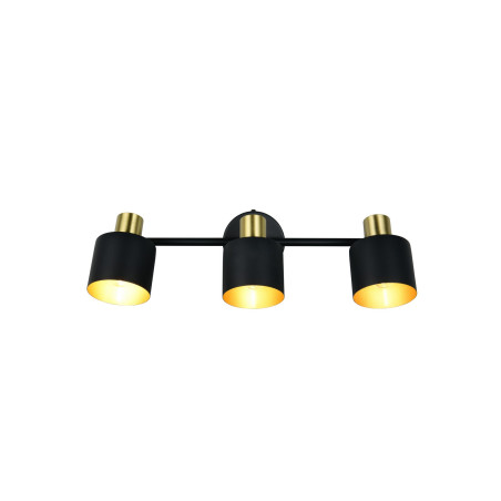Lampa sufitowa, reflektorek EVA 868800380 Trio
